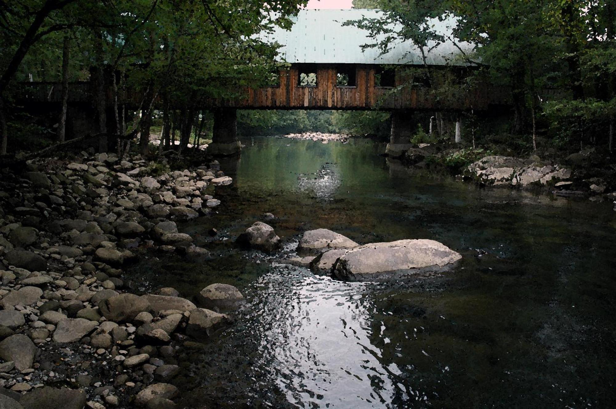 Villa Zen Garden #1523 à Gatlinburg Extérieur photo